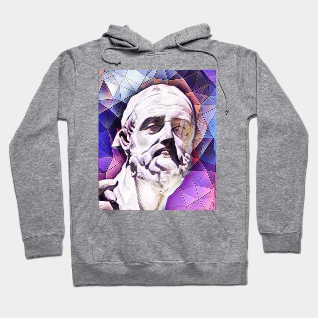 Polybius Pink Portrait | Polybius Artwork 8 Hoodie by JustLit